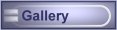 a gallery of paintings