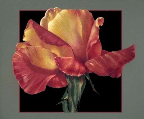 Golden Glow RoseZoom Class  Feb. 28, 2026